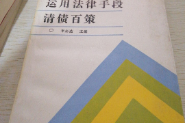 当阳遇到恶意拖欠？专业追讨公司帮您解决烦恼